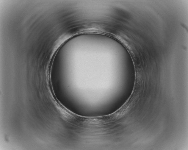 X0000098031474200803281357