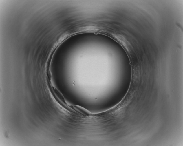 X0000098031475200803281357