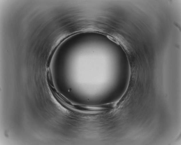 X0000098031476200803281357