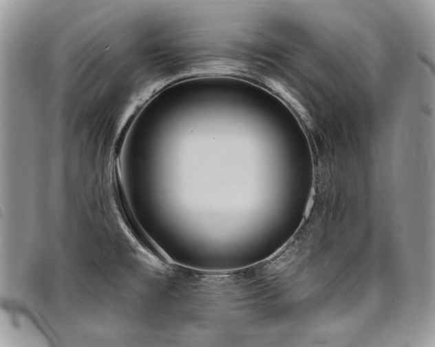 X0000098031477200803281357