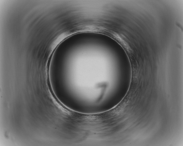 X0000098031479200803281357