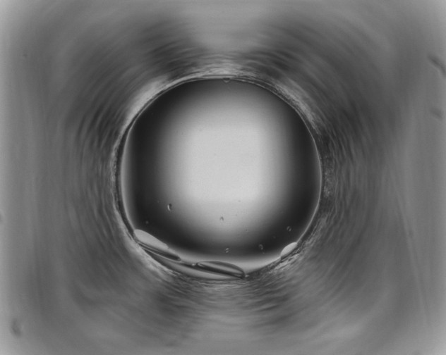 X0000098031483200803281357