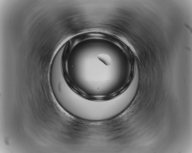 X0000098031484200803281357