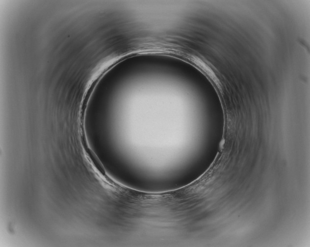 X0000098031485200803281357