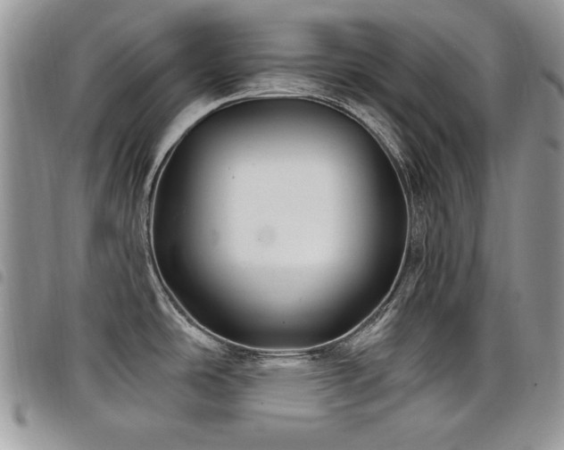 X0000098031486200803281357