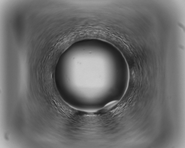 X0000098031489200803281357