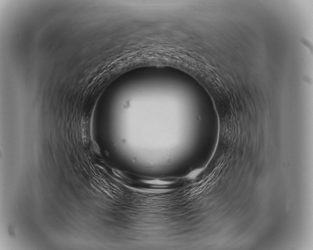 X0000098031490200803281357