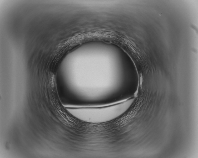 X0000098031492200803281357