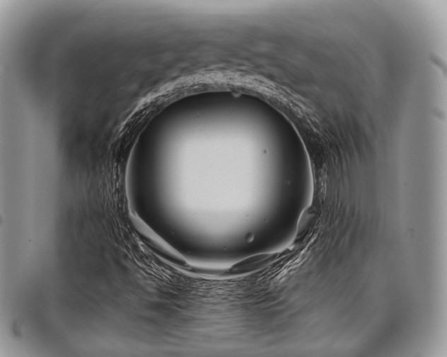 X0000098031494200803281357