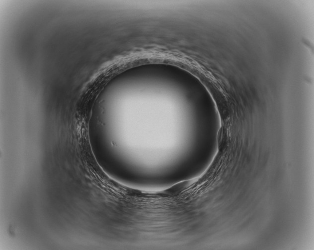 X0000098031495200803281357