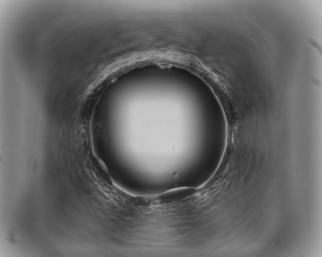 X0000098031496200803281357