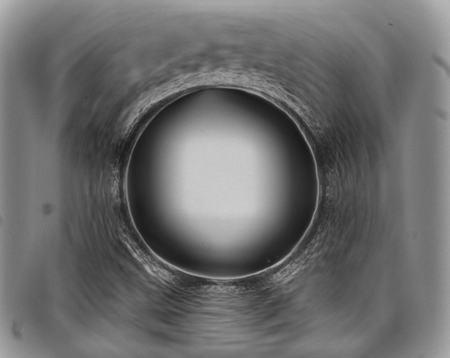 X0000098031499200803281357