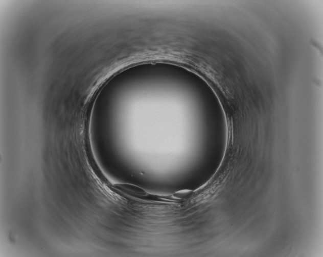 X0000098031500200803281357