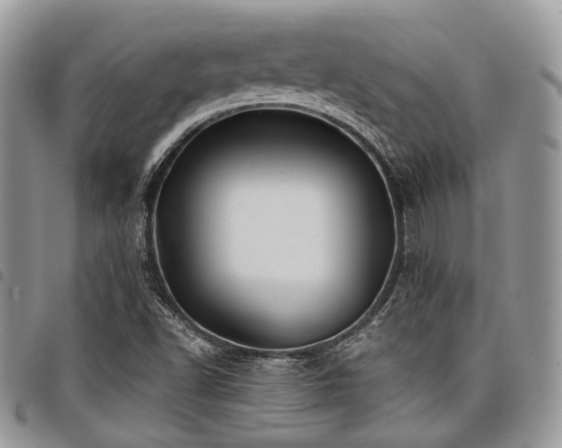 X0000098031502200803281357