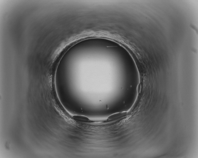 X0000098031503200803281357