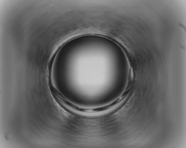 X0000098031508200803281357