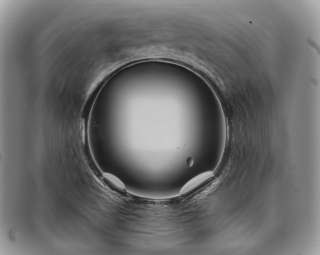 X0000098031509200803281357