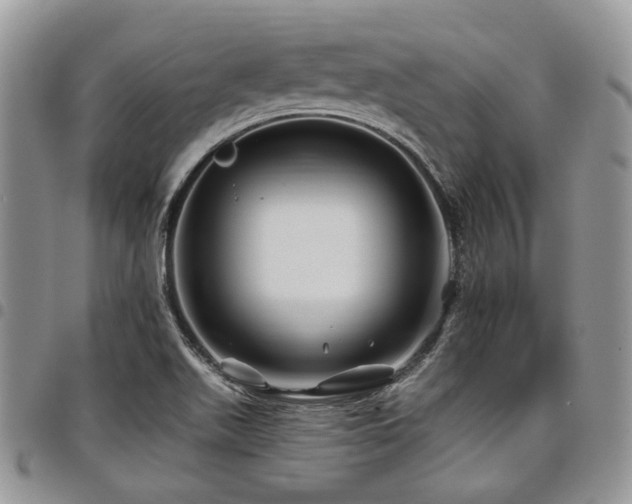 X0000098031511200803281357