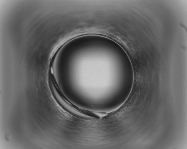 X0000098031512200803281357