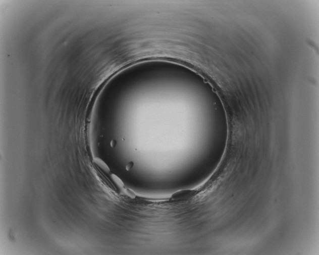 X0000098031513200803281357