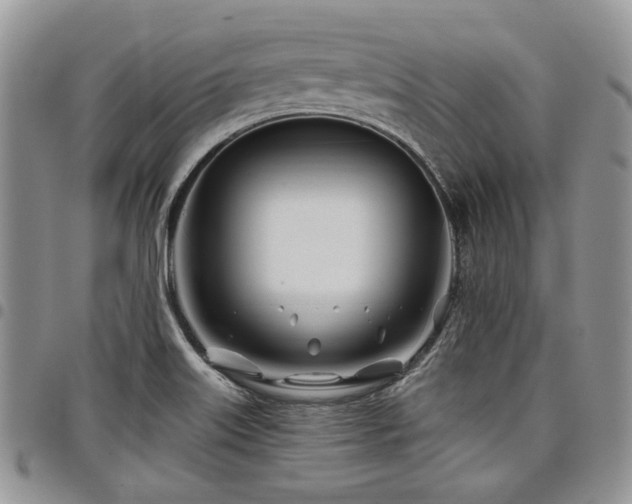 X0000098031515200803281357