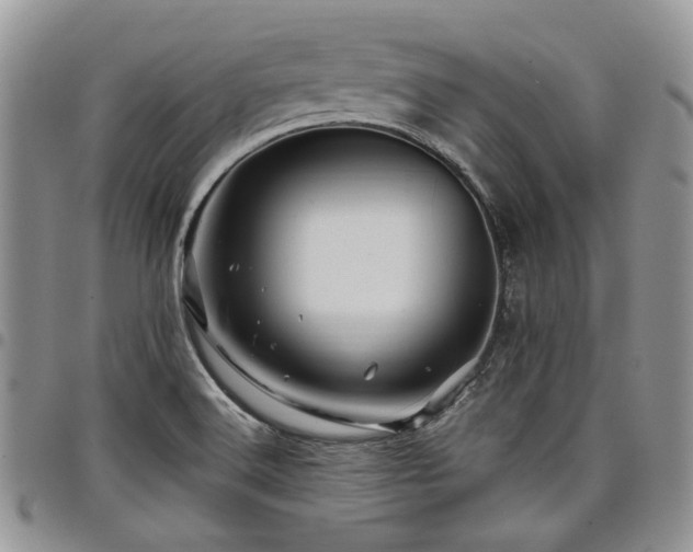 X0000098031516200803281357