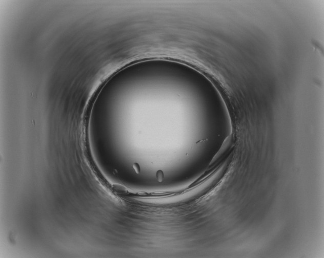 X0000098031517200803281357