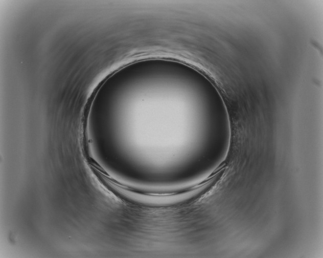 X0000098031518200803281357