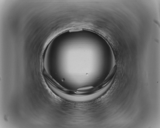 X0000098031520200803281357