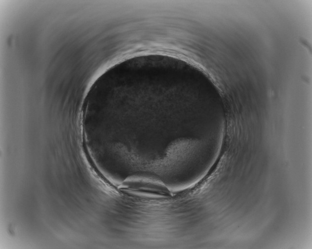 X0000098031522200803281357