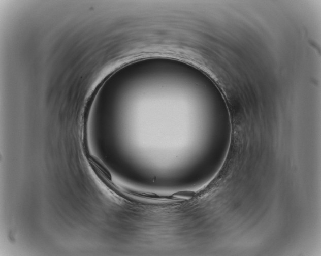 X0000098031523200803281357