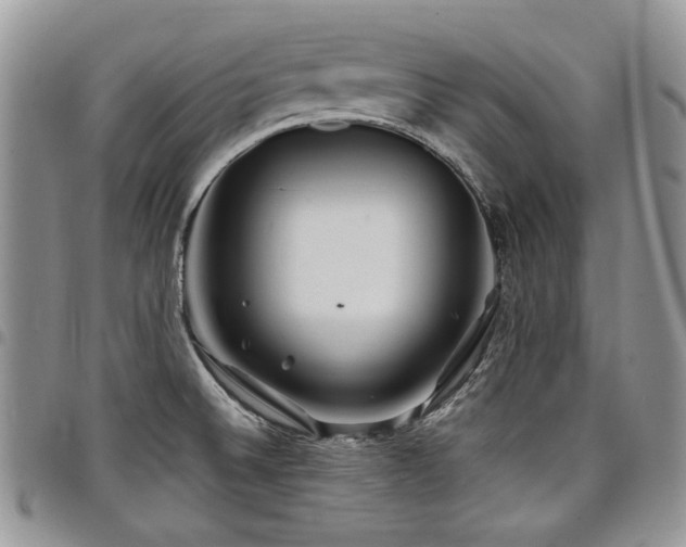 X0000098031524200803281357