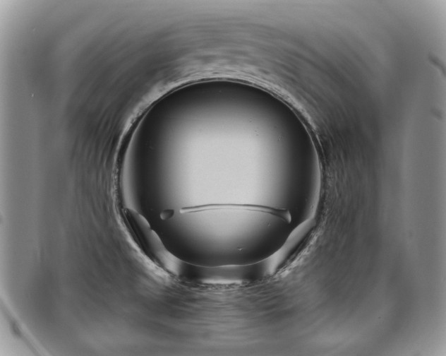 X0000098031525200803281357
