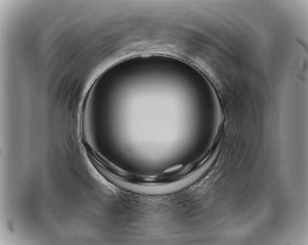 X0000098031528200803281357