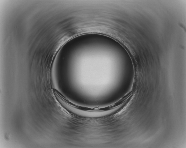 X0000098031529200803281357