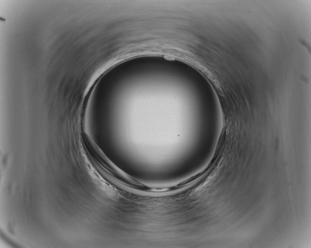 X0000098031530200803281357