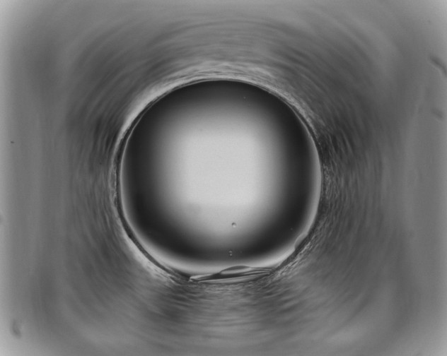 X0000098031531200803281357