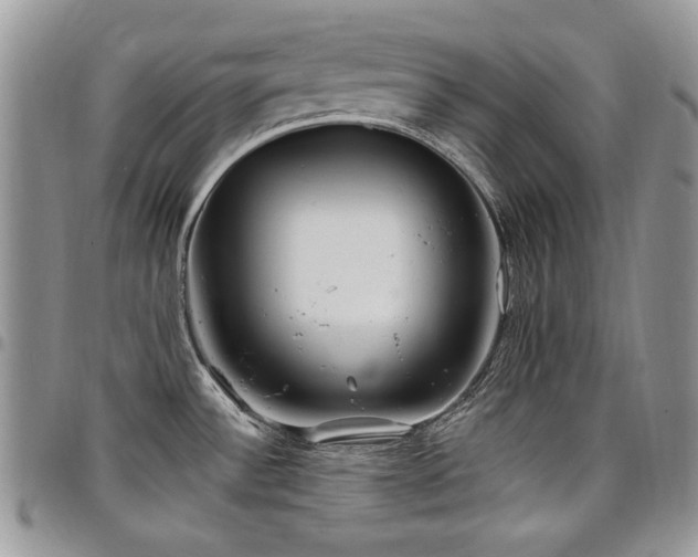 X0000098031532200803281357