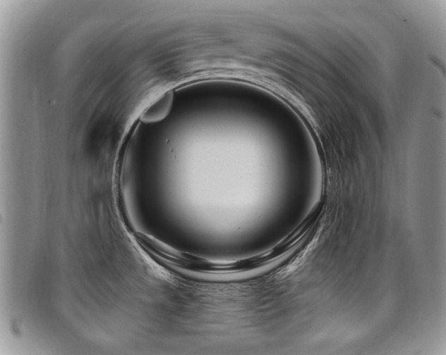 X0000098031533200803281357