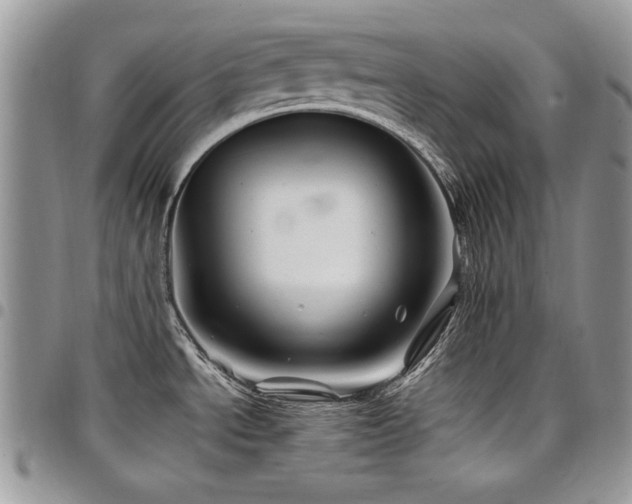 X0000098031534200803281357