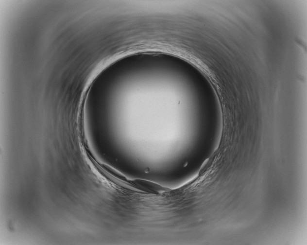 X0000098031536200803281357