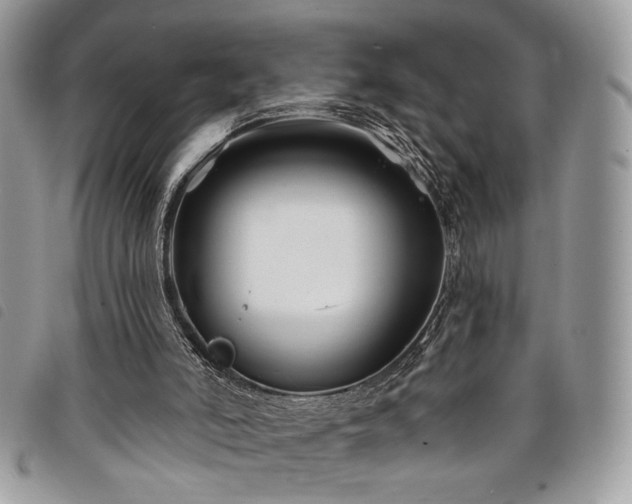 X0000098030006200804071427