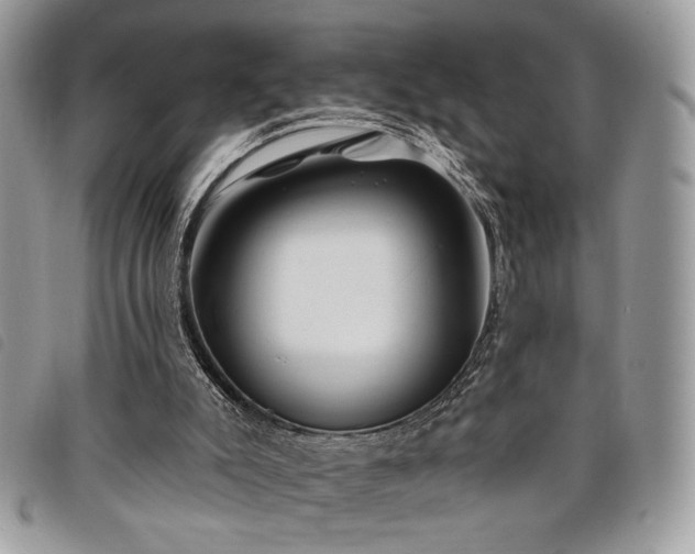 X0000098030007200804071427