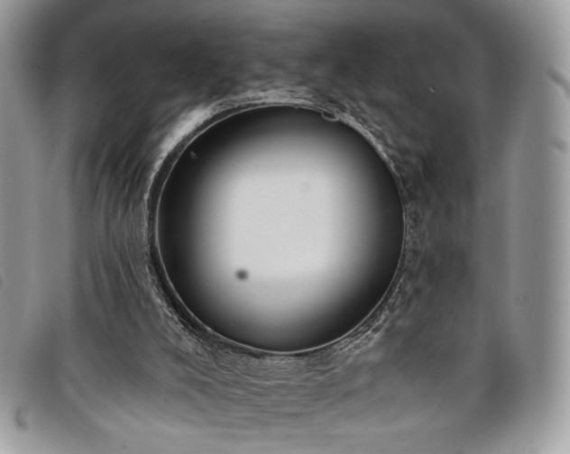 X0000098030008200804071427