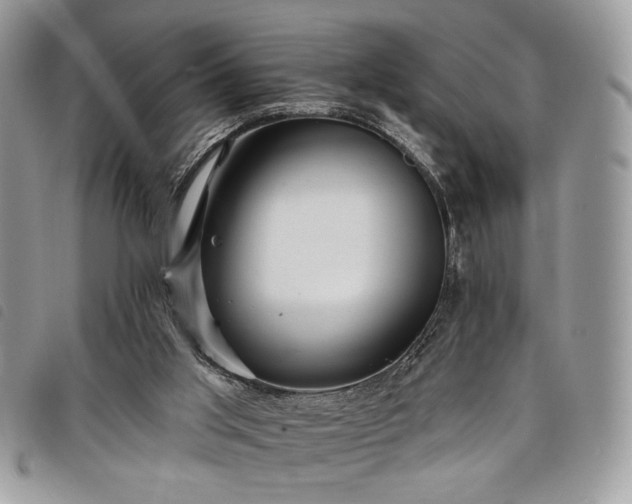 X0000098030013200804071427