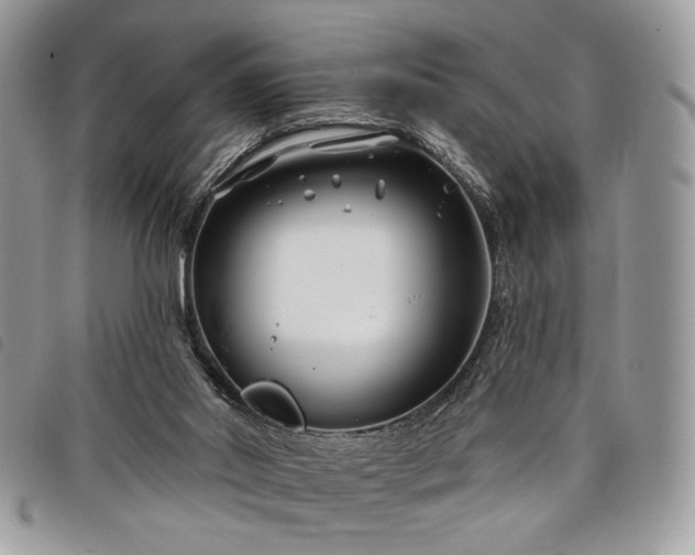 X0000098030014200804071427