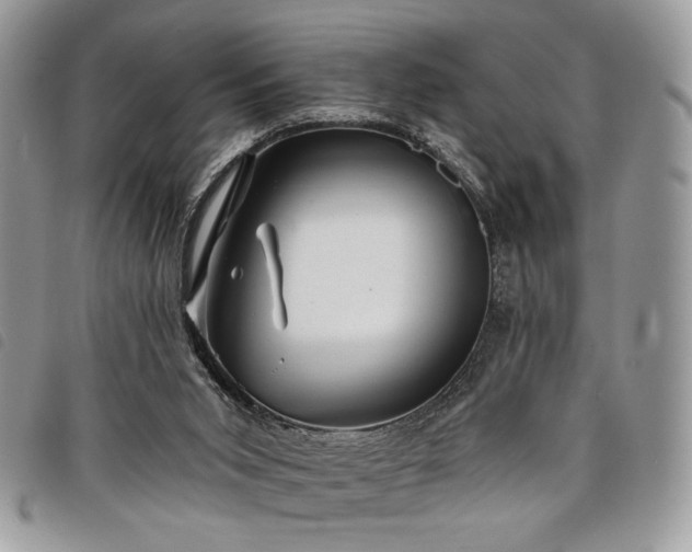 X0000098030015200804071427