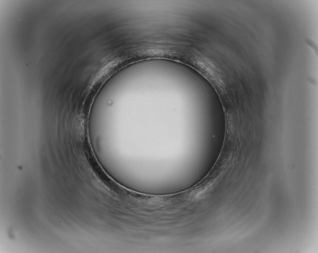 X0000098030016200804071427