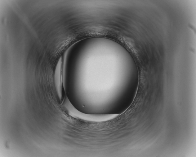 X0000098030017200804071427