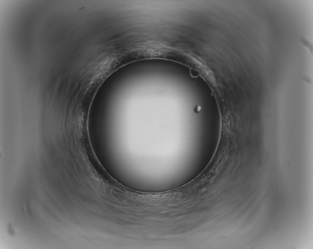 X0000098030018200804071427